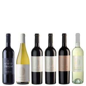 Drimia box from Israel 2025